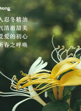 Dr.Wong忍冬护手霜保湿不油腻