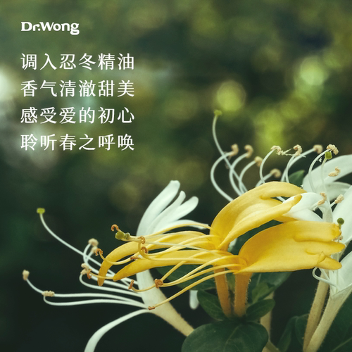 Dr.Wong忍冬护手霜50g手部保湿锁水不油腻清澈甜美天然植物油配方 - 图1