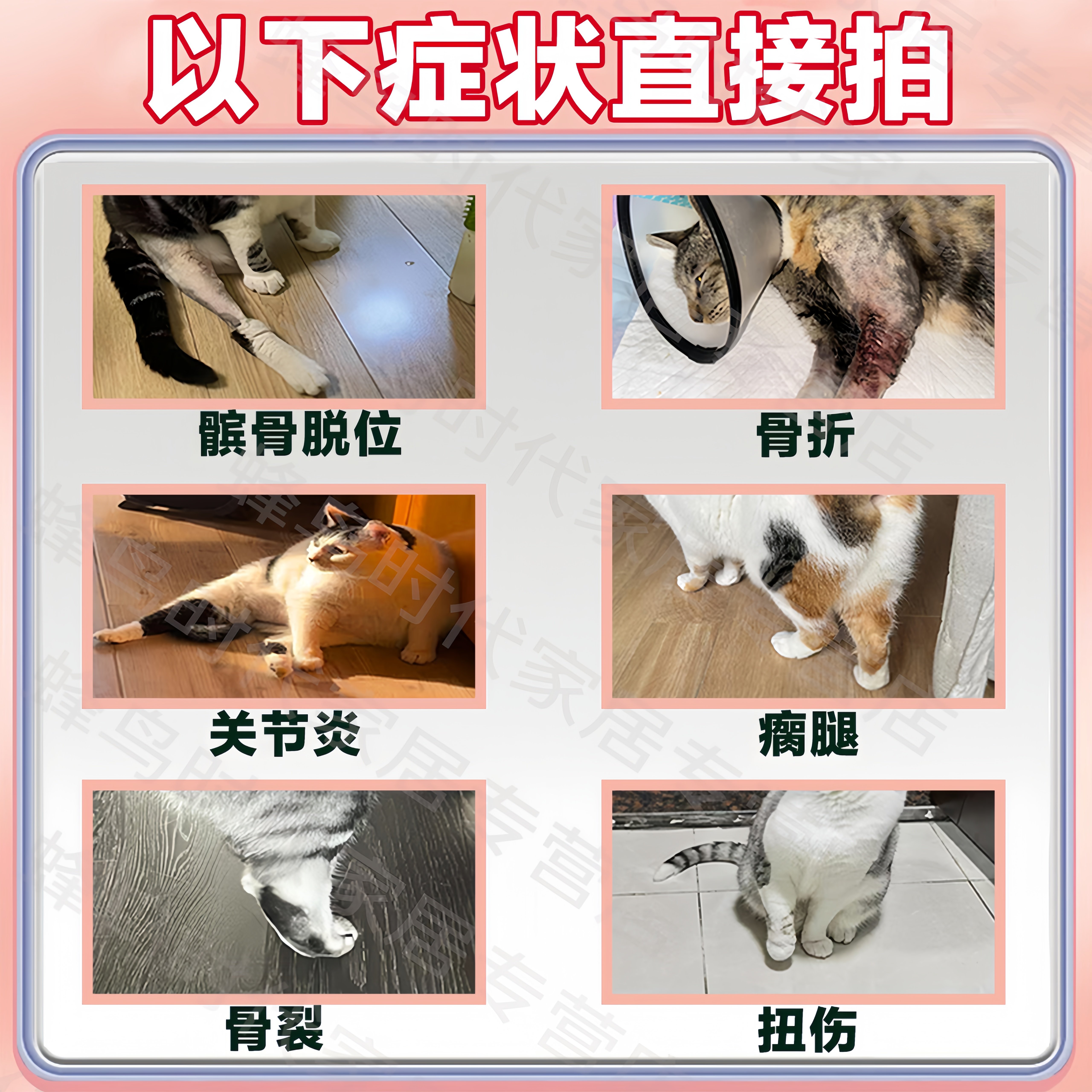 筋灵解片猫咪骨折自愈腿瘸后腿无力骨裂刺关节疼痛发育不良恢复片,淘宝优惠券,粉丝福利购,淘宝优惠卷