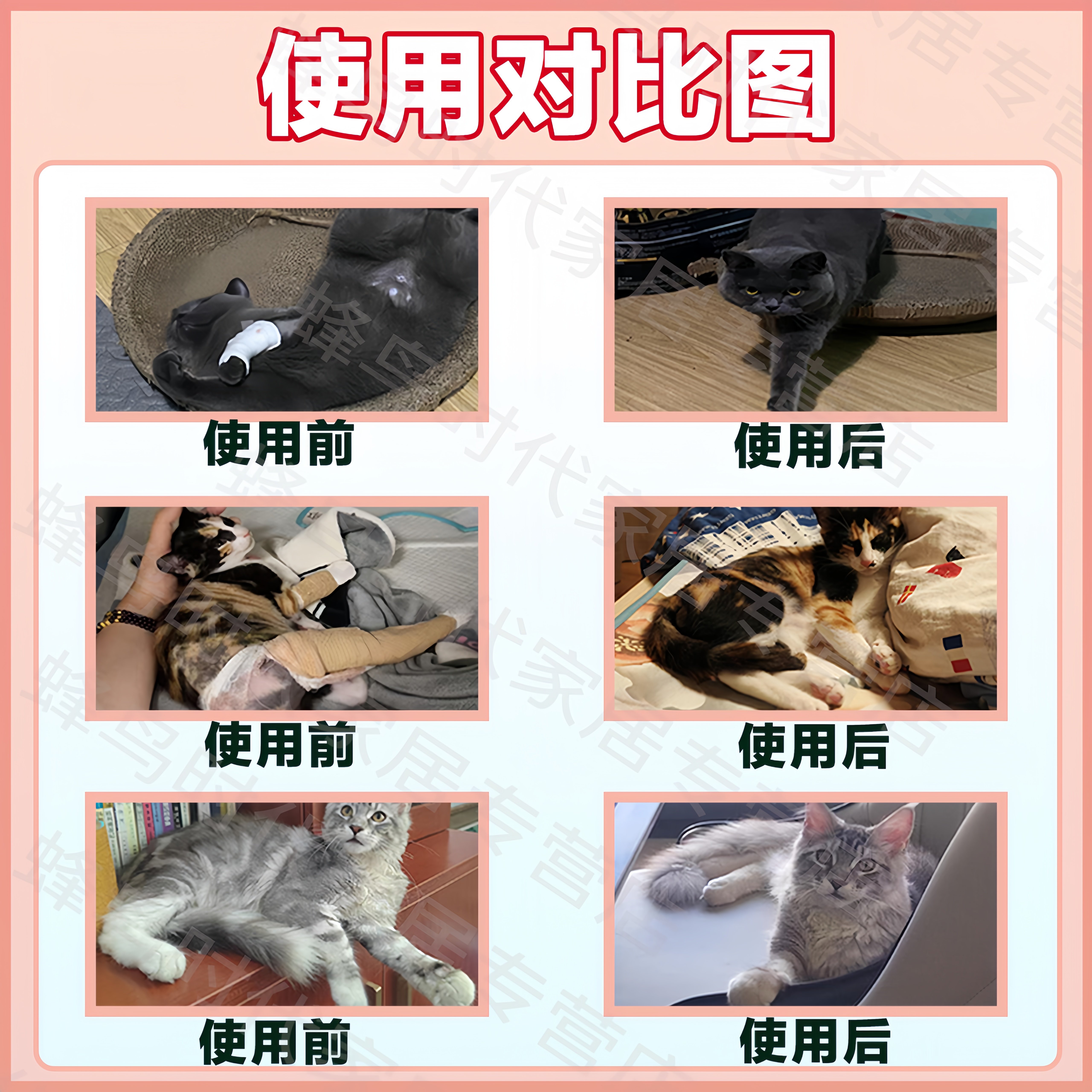 筋灵解片猫咪骨折自愈腿瘸后腿无力骨裂刺关节疼痛发育不良恢复片,淘宝优惠券,粉丝福利购,淘宝优惠卷