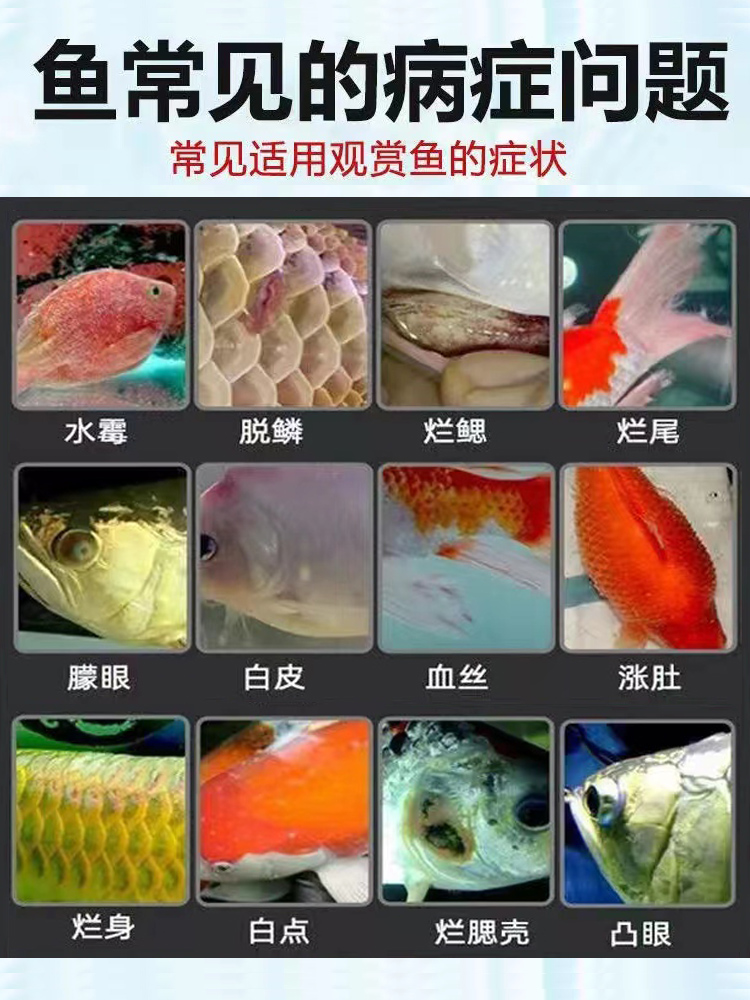 亚甲基蓝鱼药烂身烂尾水霉病白点净病黄粉观赏鱼缸专用盐庆大霉素 - 图1