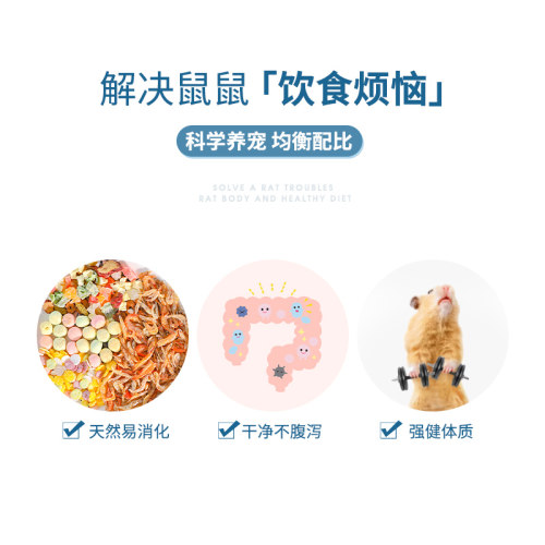 仓鼠磨牙棒可食用冻干豆腐小花枝鼠金丝熊蜜袋鼯刺猬龙猫兔子零食 - 图1