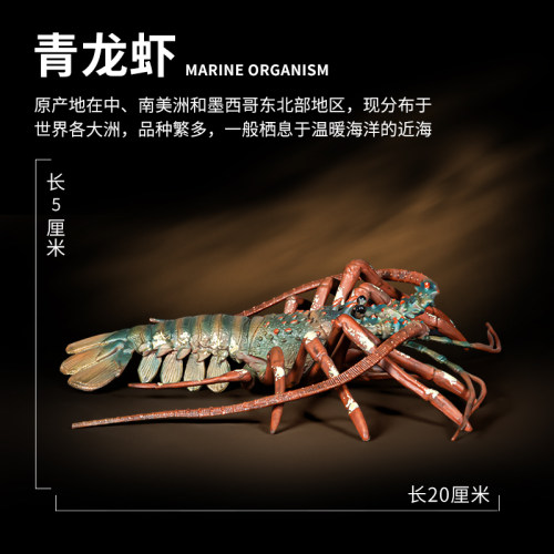 实心海洋动物大白鲨生物鲨鱼儿童模型仿真鲸鱼3虎鲸玩具4鱼缸摆件 - 图3