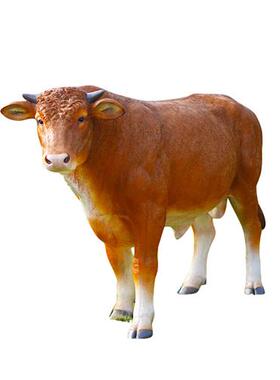 户外景区彷真牛玻璃钢雕塑田园林黄牛西门塔尔牛农场黑牛落地装饰