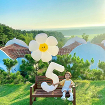 Ins little daisy digital balloon party decoration smiley sunflower baby child birthday scene background set