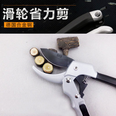 树枝剪花枝剪SK5不锈钢德国进口园艺剪子省力桑剪果树剪修枝剪刀,淘宝优惠券,粉丝福利购,淘宝优惠卷