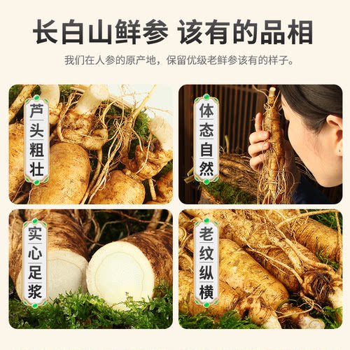 长白山鲜活人参加大2支鲜白参长白山新鲜人参泡酒煲汤佳选 - 图2