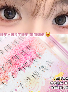 猫咪上睫毛+猫须下睫毛美丽翻倍
