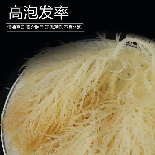 龙须菜新鲜凉拌菜半干货石花菜新鲜特级海藻菜鹿角500克 - 图0