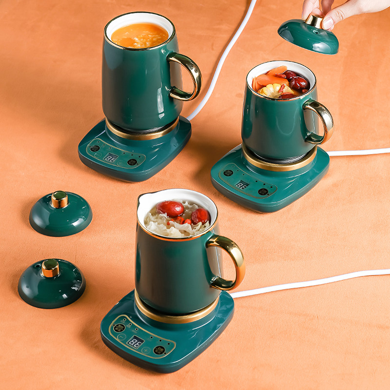 花茶养生壶迷你式办公室家用煮茶器 米栗熊养生壶/煎药壶