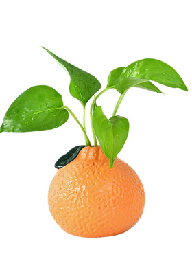 仿真橘子小花瓶摆件客厅插花水培绿萝高颜值桌面装饰品实用美观