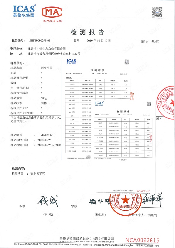 【因为绿】薄荷叶新鲜 烘焙泡水可食用留兰香500g江浙沪皖1件包邮 - 图2