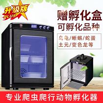 Small Turtle Egg Fully Automatic Hatching Machine Reptile Animal Incubators Lizard Lizard Hatchery Egg Thermostat Box