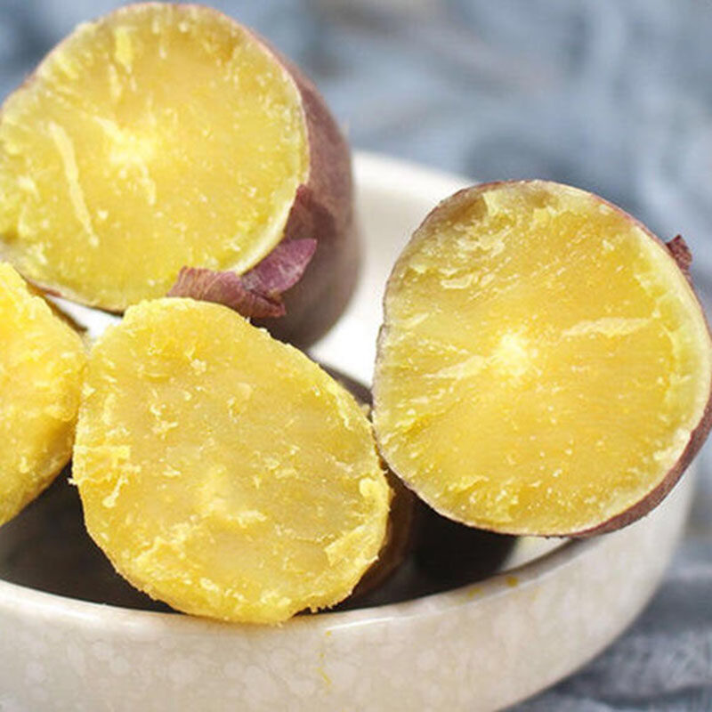 板栗红薯陕西临潼沙土地干面甜10 瑶果林番薯