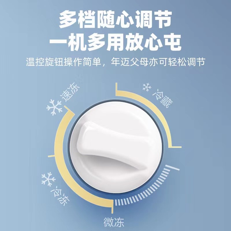 新飞一级节能家用全冷冻小型小冰柜 新飞利朔冷柜