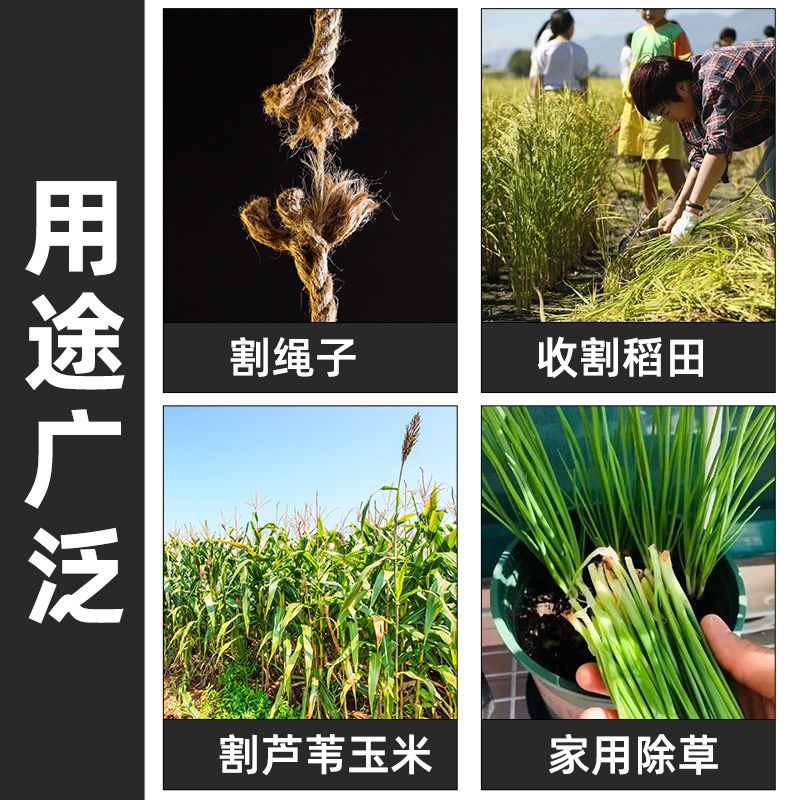 农用锯齿镰刀不锈钢割草刀加密细齿小禾镰韭菜刀割禾除草专用工具-图0