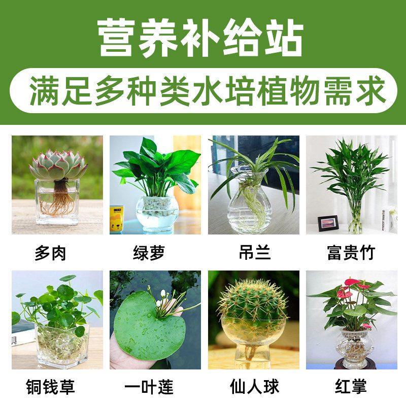 水培植物净水片碗莲睡莲除臭通用型剂净化水质催芽开花水培不臭水,淘宝优惠券,粉丝福利购,淘宝优惠卷