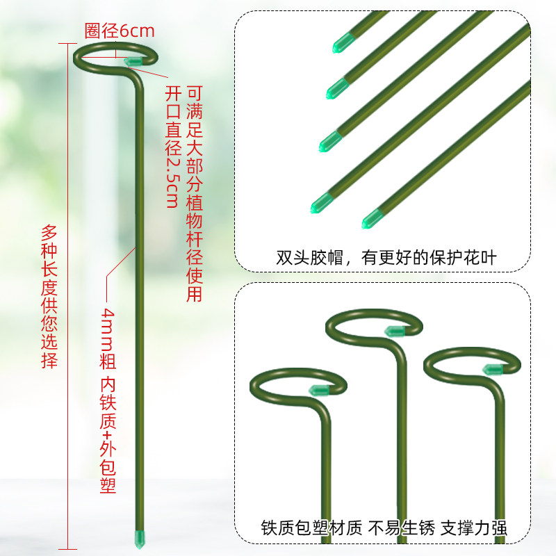 龟背竹支撑杆植物爬藤架花架花卉固定器防倒防倒伏花支撑固定支架,淘宝优惠券,粉丝福利购,淘宝优惠卷