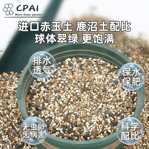 仙人球专用营养颗粒土种植仙人掌盆栽土壤仙人柱土进口赤玉土植料 - 图0