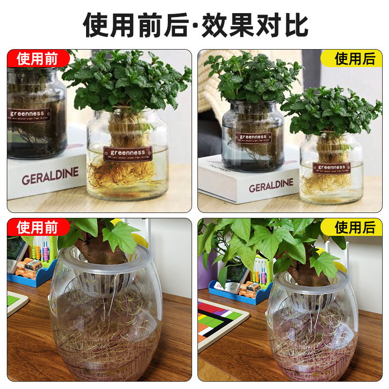 水培植物净水片碗莲睡莲除臭通用型剂净化水质催芽开花水培不臭水,淘宝优惠券,粉丝福利购,淘宝优惠卷