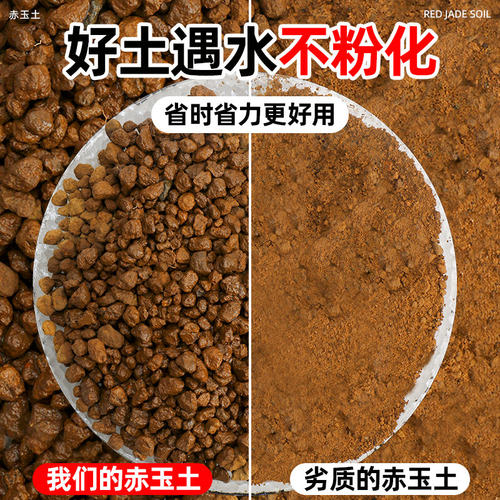 三本线赤玉土日本进口多肉盆景专用颗粒正品硬质爬宠铺面石营养土 - 图2