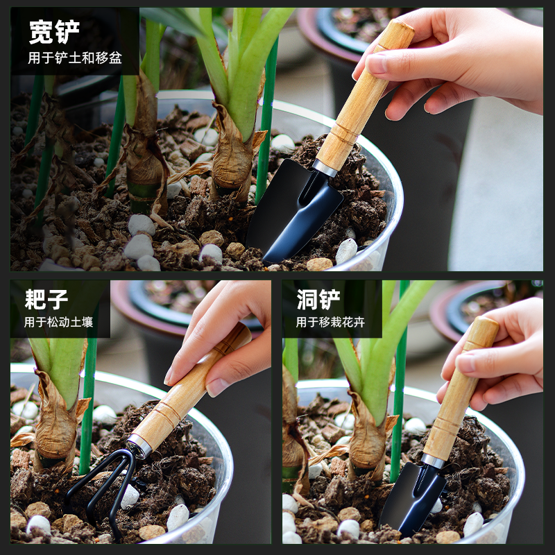 多肉盆栽铲子小型迷你三件套种花养花家用园艺工具套装户外小铁铲,淘宝优惠券,粉丝福利购,淘宝优惠卷