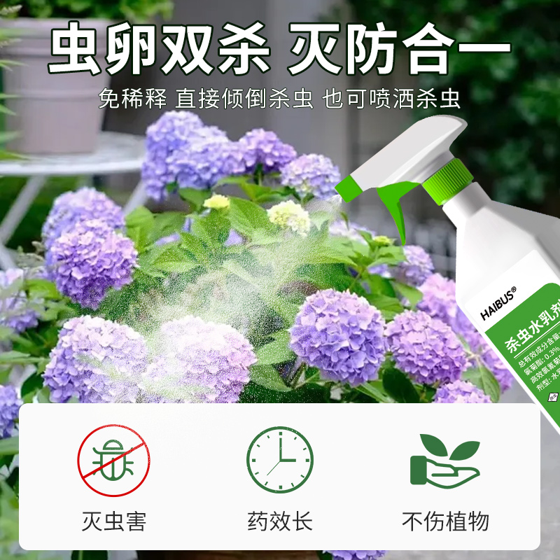 杀虫药花卉植物月季花病虫害苍蝇非红常用药蚜虫蜘蛛蚂蚁专用剂 - 图0