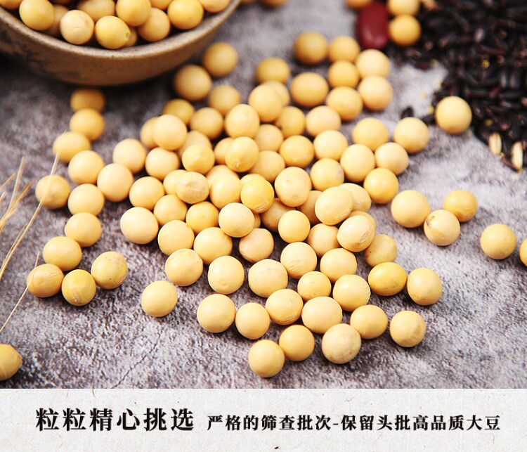 黄豆非转基因农家5斤自产打豆浆 尉掌柜黄豆