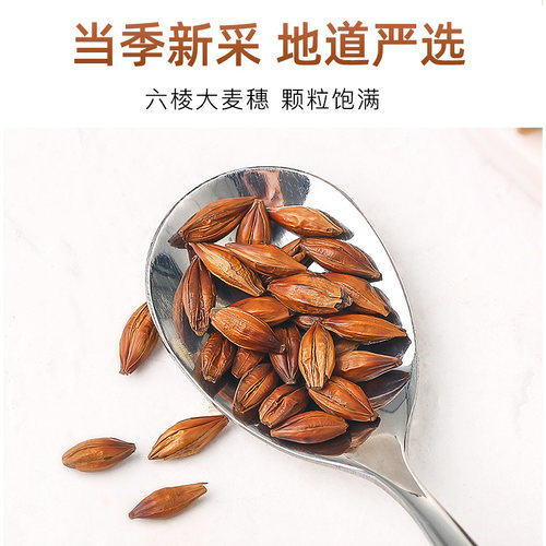 大麦茶茶包正品官方旗舰店正宗饭店专用泡水喝独立包装浓香型苦荞 - 图2