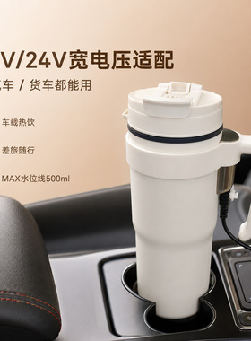110v220v多功能电热水杯搅拌咖啡奶泡杯12V24V通用车载加热烧水杯