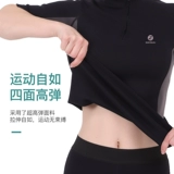 Демисезонный спортивный костюм для спортзала, лонгслив, штаны, для бега