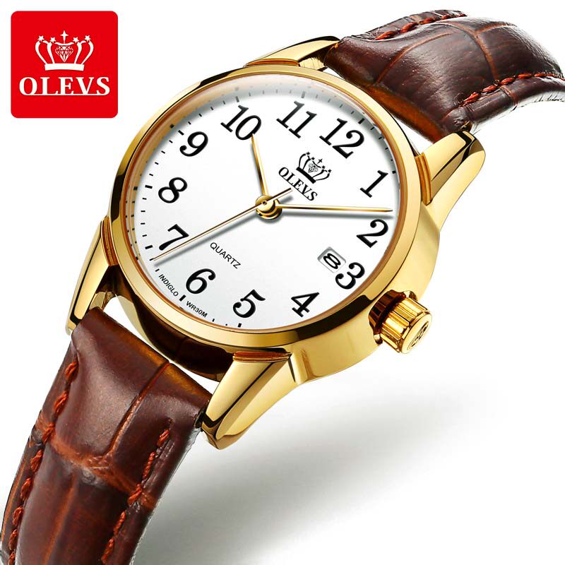 老年人女大数字瑞士夏季防水机械表 菲梵梦国产腕表