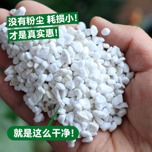 珍珠岩 无尘包30L园艺育苗扦插配营养土通用颗粒 兰花硬质大粒 - 图2