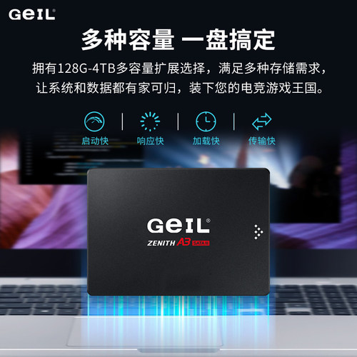 geil金邦A3 500G/1T/2TB/4T SATA台式笔记本电脑2.5寸SSD固态硬盘 - 图2