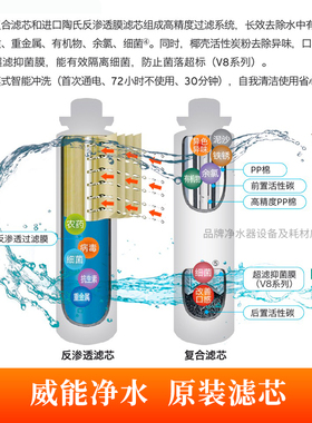 德国威能V6V8反渗透净水器滤芯