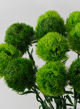 仿真绿石竹软胶手感高品质软装花艺现代家居插花摆件葱球毛球绿植
