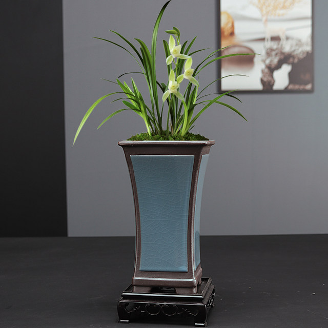 Boutique Ge Kiln Basin Special Flower Pot for Square Orchids