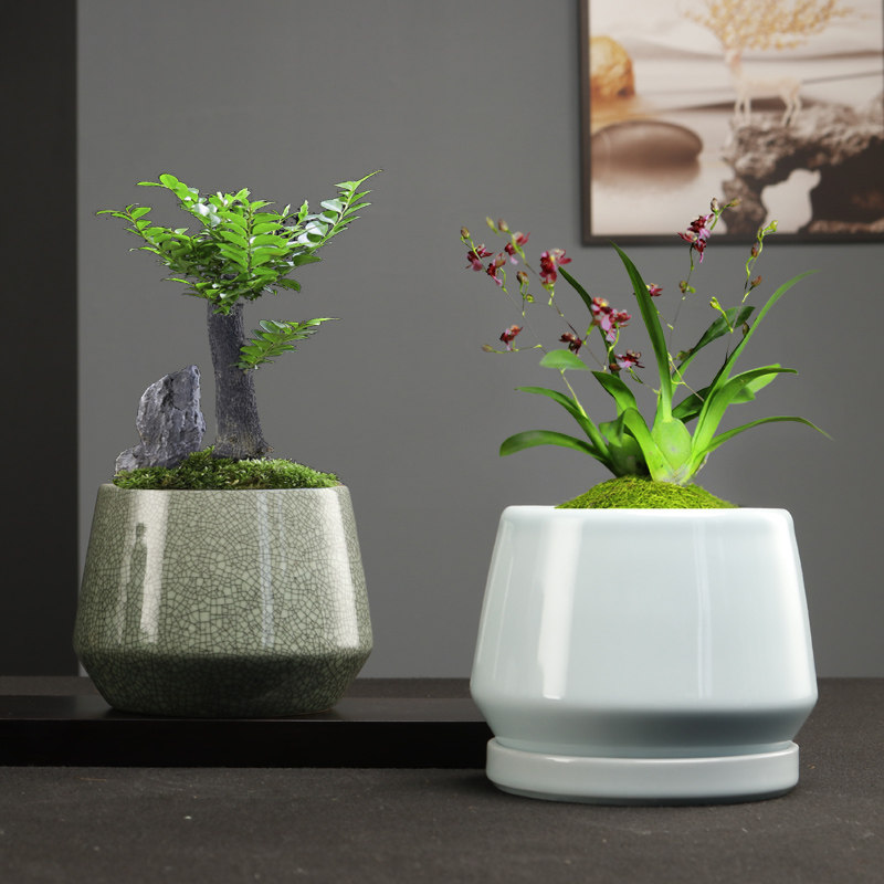 简约文竹花盆哥窑陶瓷小号蝴蝶兰专用多肉绿植盆载桌面微观造景盆,淘宝优惠券,粉丝福利购,淘宝优惠卷
