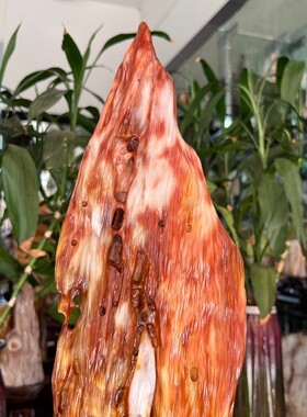 树化玉硅化木摆件冰种木化石500107客厅木化玉缅甸树化石客厅奇石