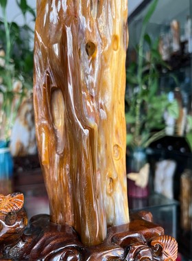 树化玉硅化木摆件冰种木化石400134客厅木化玉缅甸树化石客厅奇石
