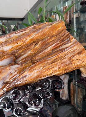 树化玉硅化木摆件冰种木化石500111客厅木化玉缅甸树化石客厅奇石