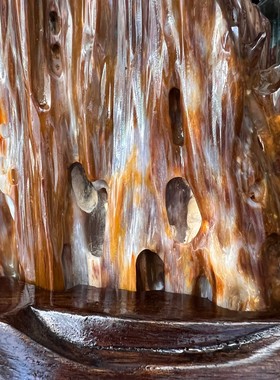 树化玉硅化木摆件冰种木化石128823客厅木化玉缅甸树化石客厅奇石