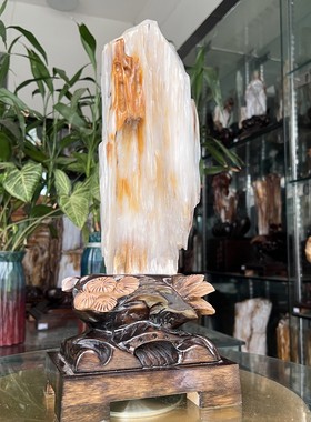 树化玉硅化木摆件冰种木化石400129客厅木化玉缅甸树化石客厅奇石