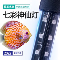 Seven colorful fairy fish special fish tank lamp LED light waterproof and brightening super bright floodlight tube t8 diving light