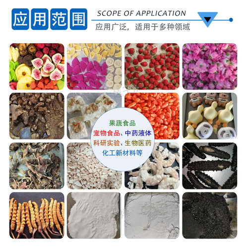 冻干机家用小型果蔬药品实验室宠物食品冻干机商用真空冷冻干燥机 - 图0