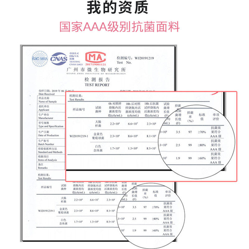女士纯棉全棉裆抗菌无痕女生内裤 帝鲨驰内裤