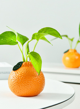 仿真橘子小花瓶摆件客厅插花水培植物鲜花绿萝高颜值桌面装饰摆件