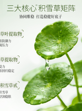 amtn安牧牡丹晒后舒缓积雪草面膜