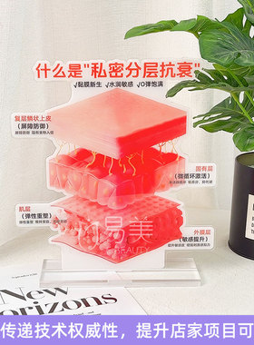 私密分层抗衰亚克力摆件美容院店内饰品高端黏膜五层结构科普立牌