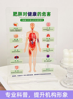 肥胖危害亚克力摆台健康教育宣传工具减肥机构人体器官展示图